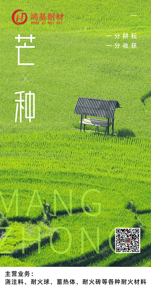 今日芒種！一份耕耘，一份收獲